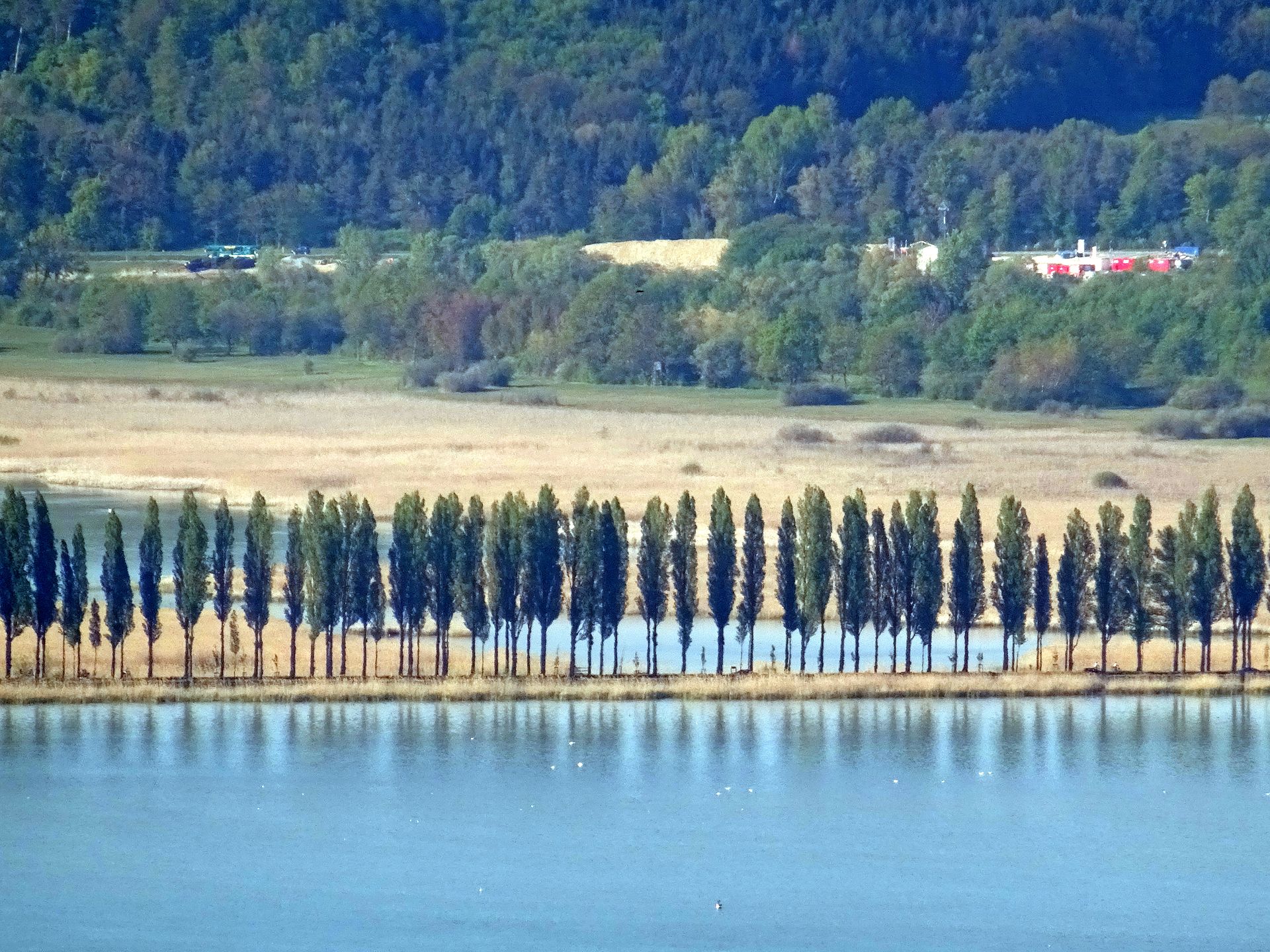 Salenstein
